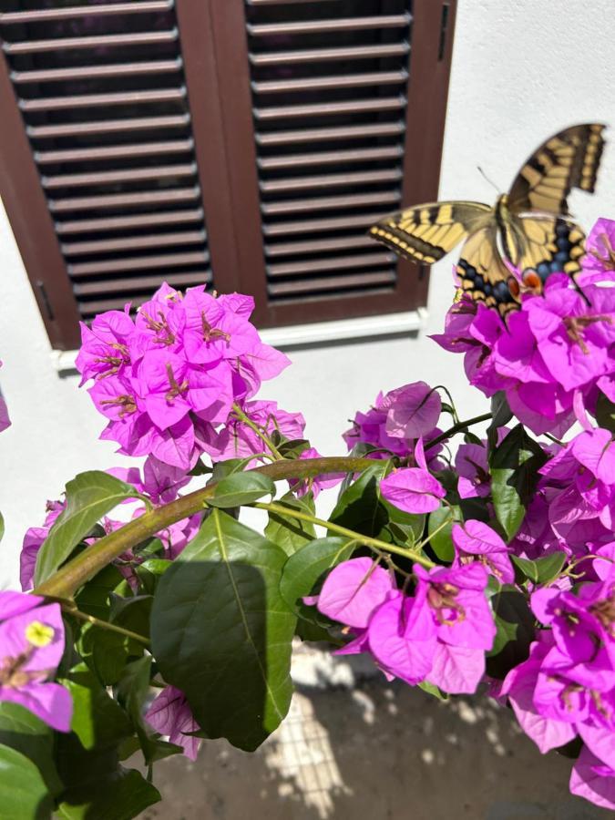 Garden Apartment Dina Split Exterior foto